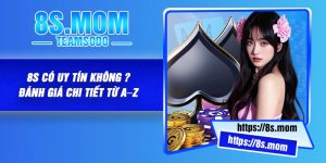 8S có uy tín không ? Đánh giá chi tiết từ A–Z