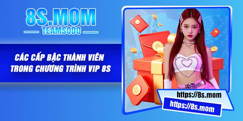 Các Cấp Bậc Thành Viên Trong Chương trình VIP 8S