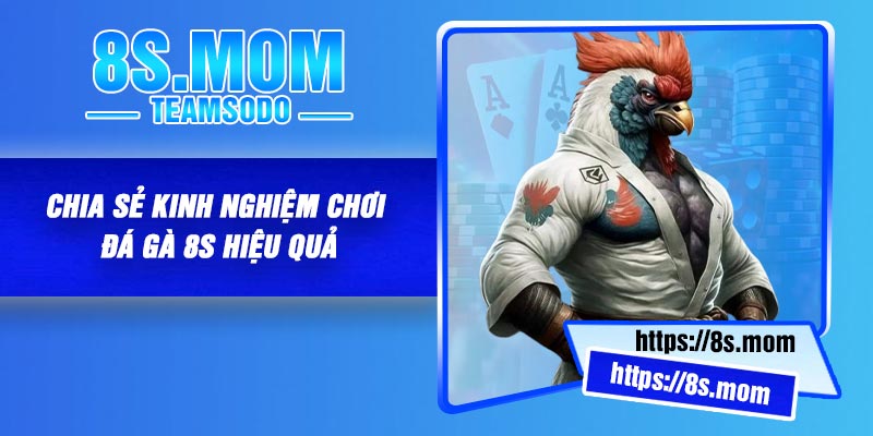 Chia sẻ kinh nghiệm chơi đá gà 8S hiệu quả