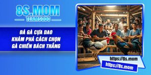 Đá Gà Cựa Dao – Khám Phá Cách Chọn Gà Chiến Bách Thắng