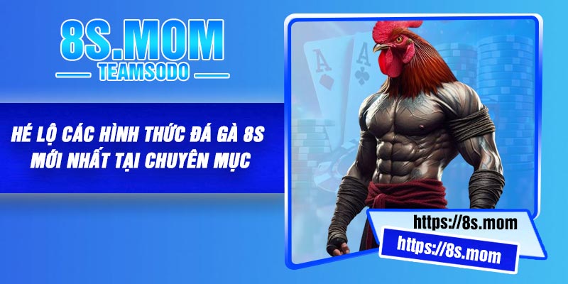 Hé lộ các hình thức đá gà 8S mới nhất tại chuyên mục