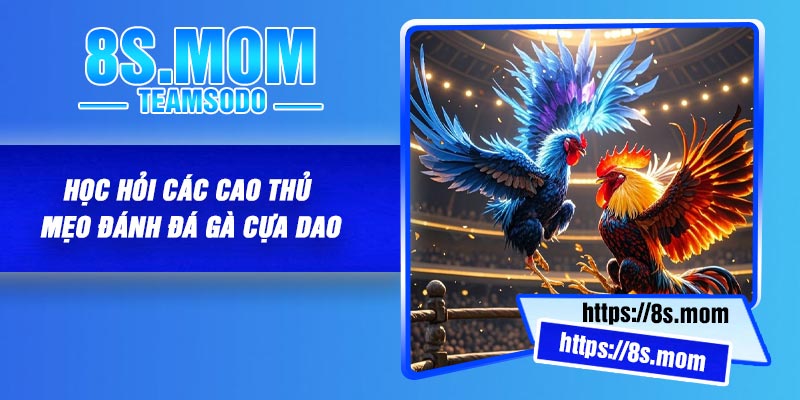 Học hỏi các cao thủ mẹo đánh đá gà cựa dao