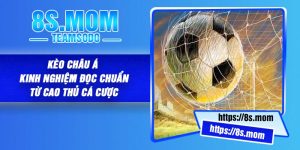 Kèo châu Á - Kinh Nghiệm Đọc Chuẩn Từ Cao Thủ Cá Cược