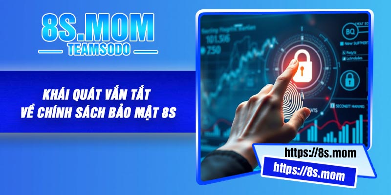 Khái quát vắn tắt về chính sách bảo mật 8S